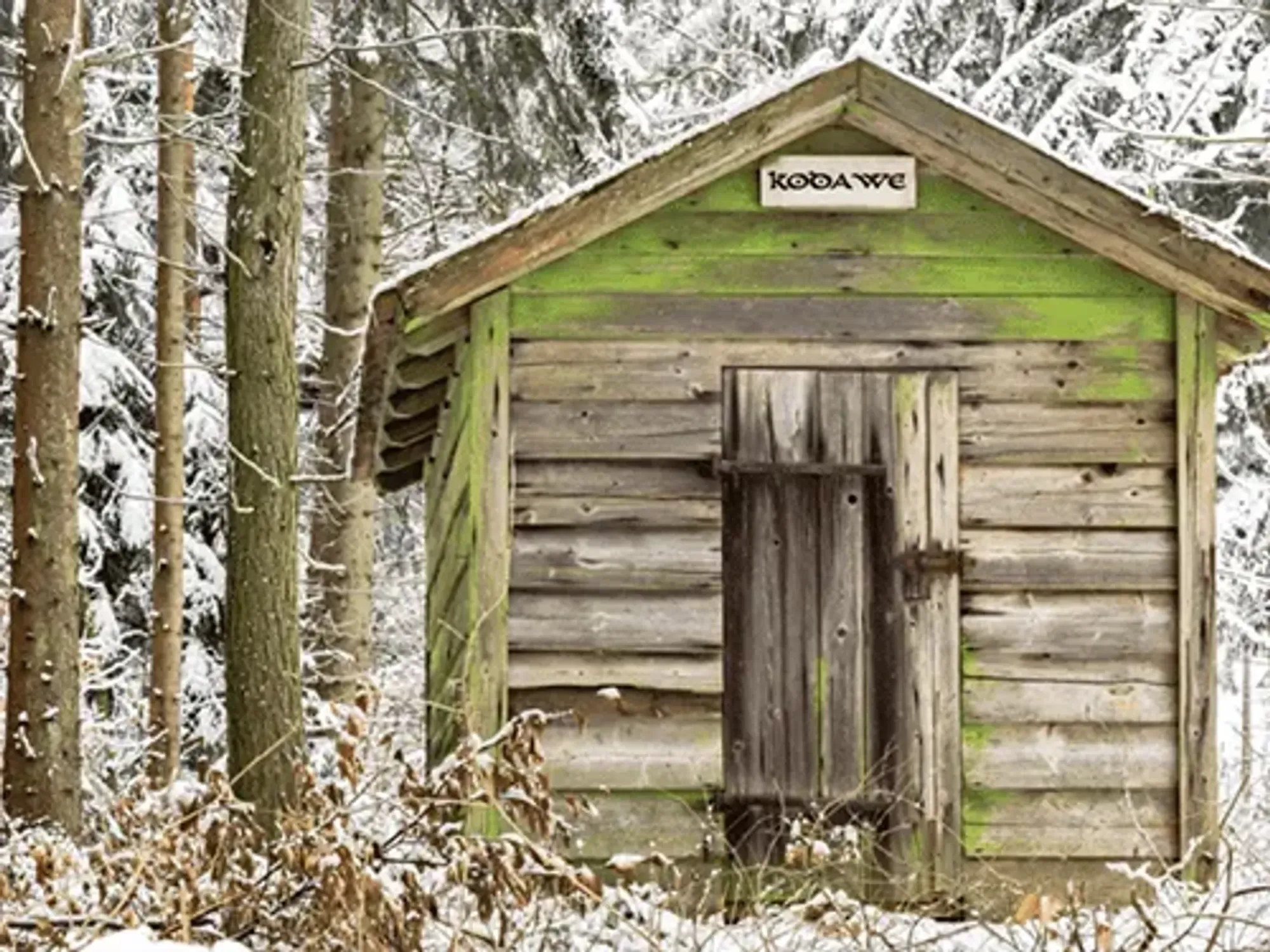 La Cabane de Kodawe