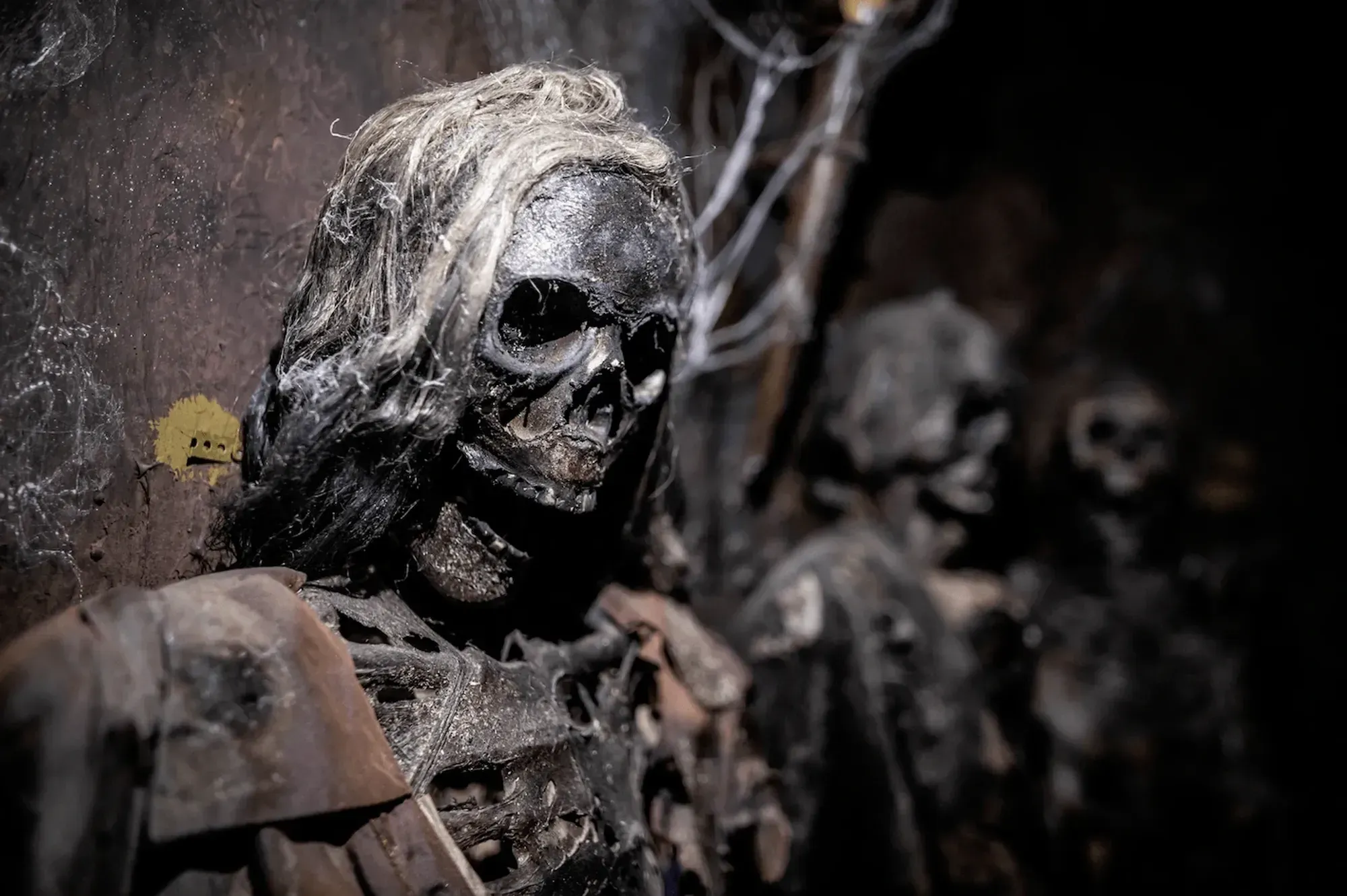 The Crypt