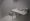 Welt der Schatten