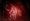 Die Reisende / The Traveler