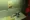 Der Bunker poster3