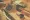 Operation: DB Cooper poster3