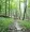 The Catskills Killer poster2
