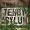 The Tenby Asylum poster2