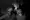 Outlast
