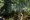 The Forest poster2