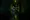 Outlast poster2