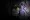 Outlast