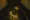 Outlast