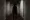 Paranormal Activity: the Lost Soul