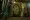 Depths of Osiris