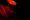 Murder Reborn poster4
