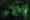 Outlast