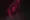 Приют poster5