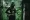 Outlast