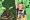 The jungle is calling poster2