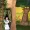 Alice nel Paese delle Meraviglie poster6