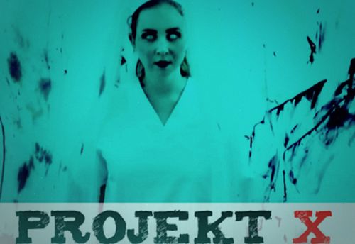 Projekt x