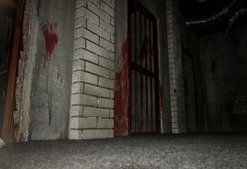 The Undead