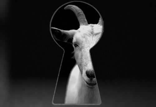 Hennes