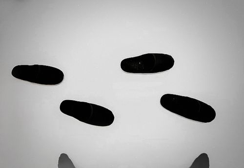 Welt der Schatten