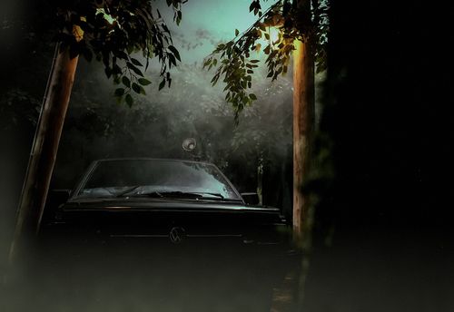 The Dark Forest
