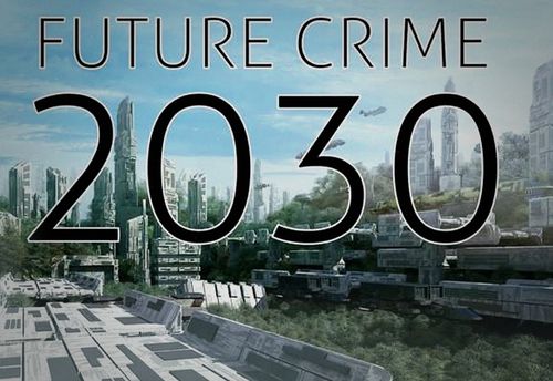 Future Crime 2030