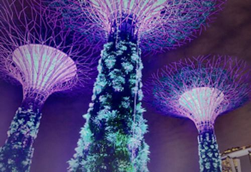 Secret Society Singapore Online