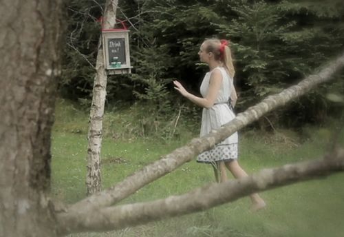 The Rabbit Hole