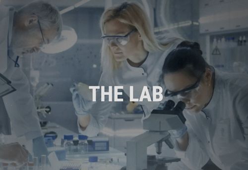 The Lab