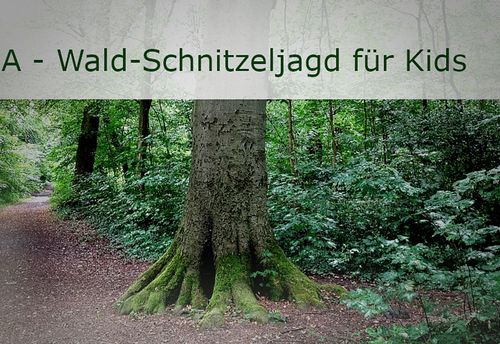 AQUA - Wald-Schnitzeljagd für Kinder