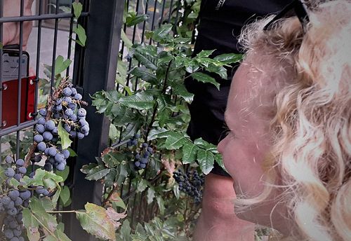 The Last Secret: Outdoor Escape Game