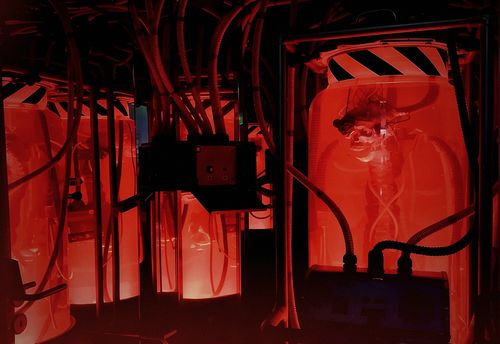 THE EXPERIMENT YOUR DEATH TRAPS?