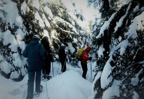 Schneeschuhtouren und Skilanglauf-Kurse - pures Natur-Abenteuer