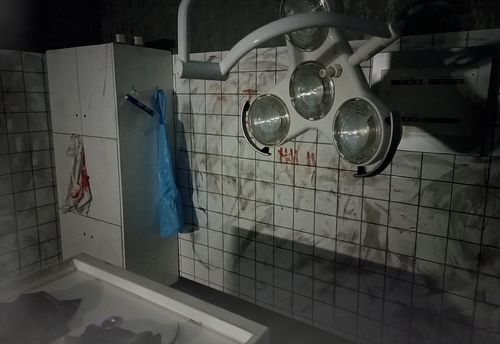 Die Pathologie