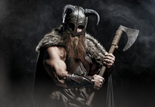 Viking 2.0