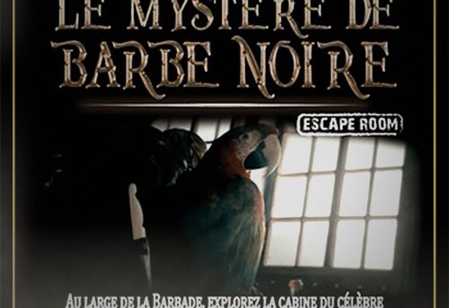 Le Mystère de Barbe Noire