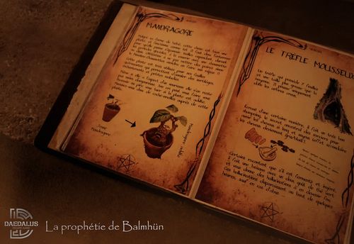 La Prophétie de Balmhün
