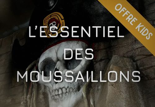 L'ESSENTIEL DES MOUSSAILLONS