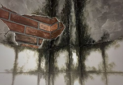 VIVRE OU MOURIR