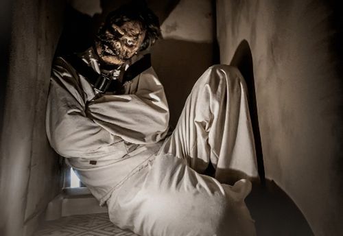 The Asylum