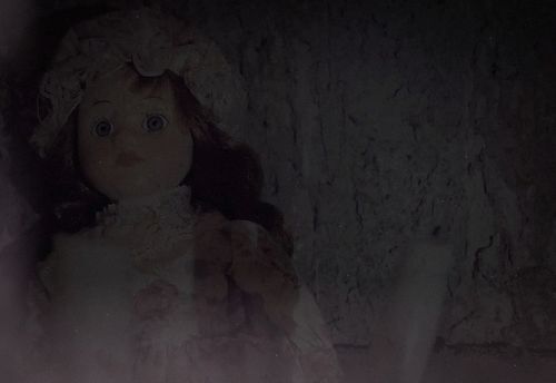 The Doll Collector