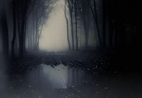 La Forêt