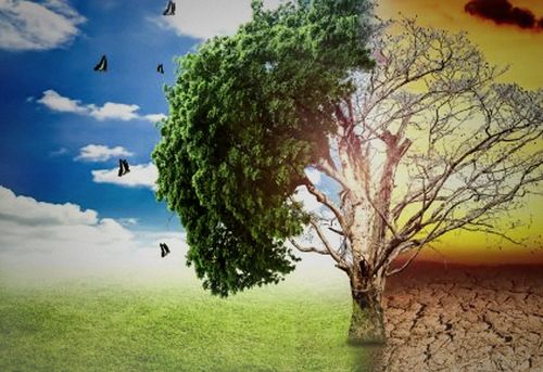 APOCALIPSIS NATURA