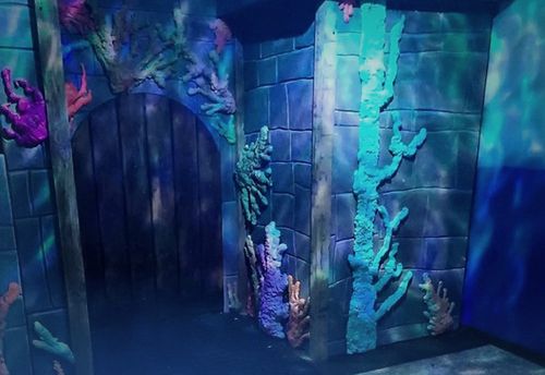 The Coral Kingdom Aquarium