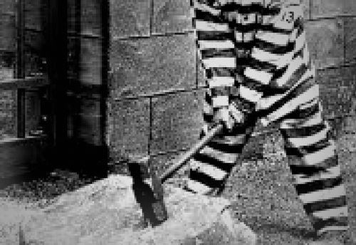 Convicts
