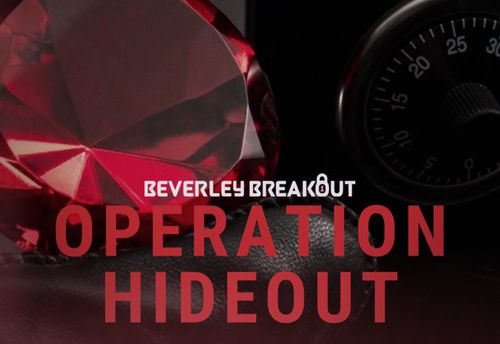 Operation Hideout - Jewel Pursuit 60 minutes