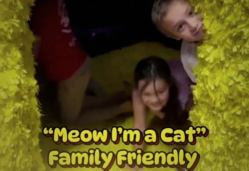 Meow! I'm a Cat.