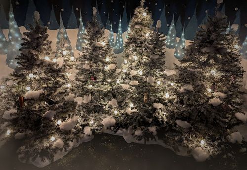 Magical Menagerie: A Christmas Adventure