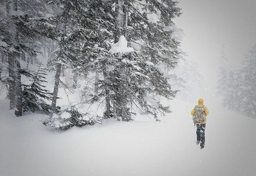 Avalanche